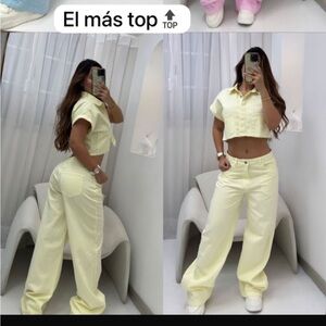 Stylish Pastel Pants and Crop Top Set